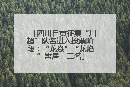 四川自贡征集“川超”队名进入投票阶段：“龙焱”“龙焰”暂居一二名