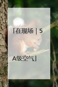 在现场｜5A级空气