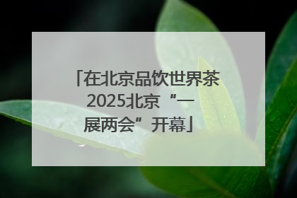 在北京品饮世界茶 2025北京“一展两会”开幕