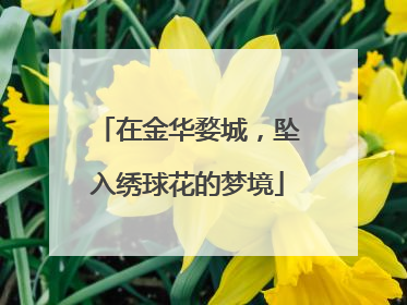 在金华婺城，坠入绣球花的梦境