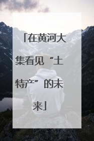 在黄河大集看见“土特产”的未来