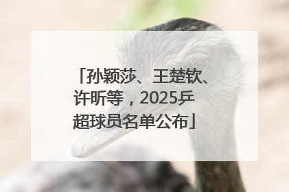 孙颖莎、王楚钦、许昕等，2025乒超球员名单公布