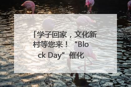 学子回家，文化新村等您来！“Block Day”催化学院式街区新生态