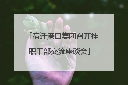 宿迁港口集团召开挂职干部交流座谈会