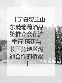 宁夏贺兰山东麓葡萄酒品鉴推介会在沪举行 搭建与长三角地区沟通合作的桥梁