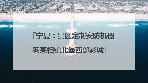 宁夏：景区定制安防机器狗亮相镇北堡西部影城