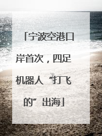 宁波空港口岸首次，四足机器人“打飞的”出海
