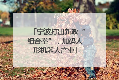 宁波打出新政“组合拳”，加码人形机器人产业