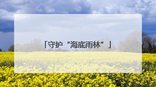 守护“海底雨林”