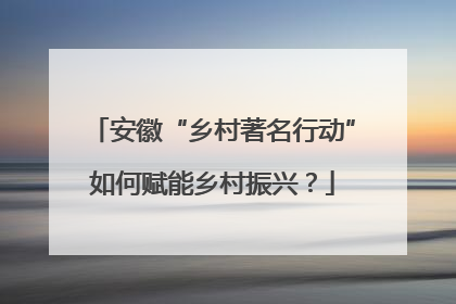 安徽“乡村著名行动”如何赋能乡村振兴？