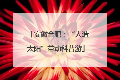 安徽合肥：“人造太阳”带动科普游