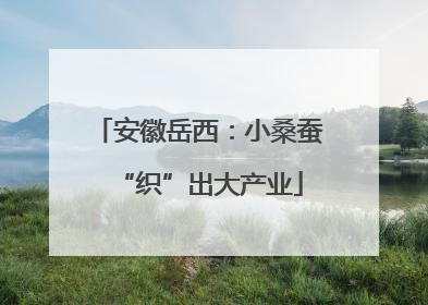 安徽岳西：小桑蚕“织”出大产业