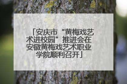 安庆市“黄梅戏艺术进校园”推进会在安徽黄梅戏艺术职业学院顺利召开