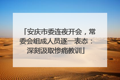 安庆市委连夜开会，常委会组成人员逐一表态：深刻汲取惨痛教训