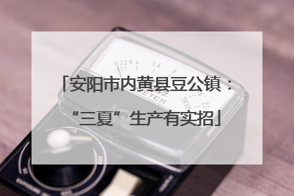 安阳市内黄县豆公镇：“三夏”生产有实招