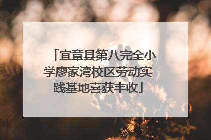 宜章县第八完全小学廖家湾校区劳动实践基地喜获丰收