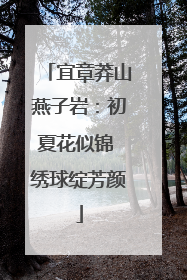 宜章莽山燕子岩：初夏花似锦 绣球绽芳颜