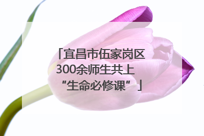 宜昌市伍家岗区300余师生共上“生命必修课”