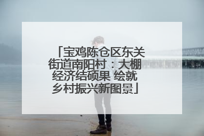 宝鸡陈仓区东关街道南阳村：大棚经济结硕果 绘就乡村振兴新图景