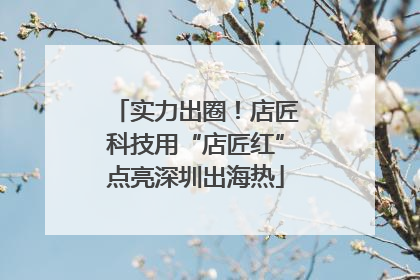实力出圈！店匠科技用“店匠红”点亮深圳出海热