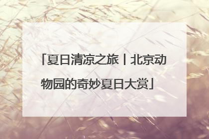 夏日清凉之旅丨北京动物园的奇妙夏日大赏