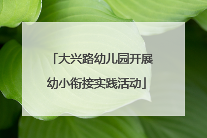大兴路幼儿园开展幼小衔接实践活动