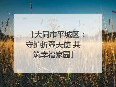 大同市平城区：守护折翼天使 共筑幸福家园