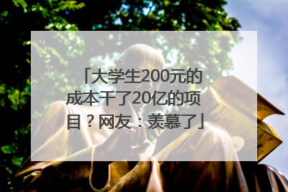 大学生200元的成本干了20亿的项目？网友：羡慕了