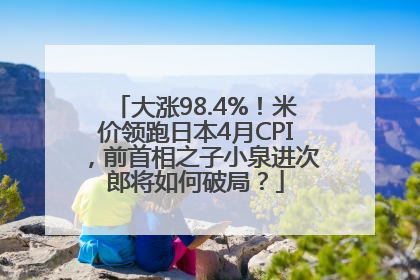 大涨98.4%！米价领跑日本4月CPI，前首相之子小泉进次郎将如何破局？