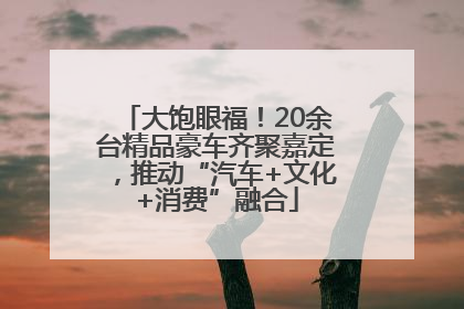 大饱眼福！20余台精品豪车齐聚嘉定，推动“汽车+文化+消费”融合