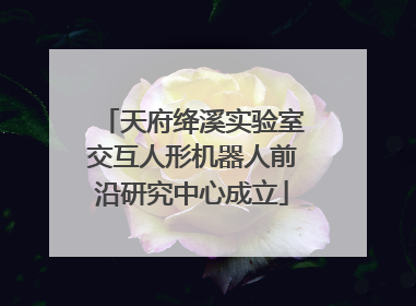 天府绛溪实验室交互人形机器人前沿研究中心成立