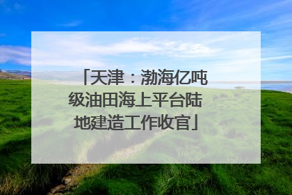 天津：渤海亿吨级油田海上平台陆地建造工作收官