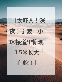 太吓人！深夜，宁波一小区楼道里惊现1.5米长大白蛇！