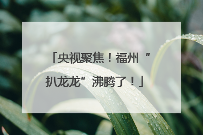 央视聚焦！福州“扒龙龙”沸腾了！