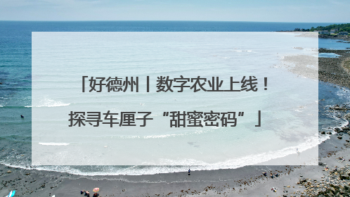 好德州丨数字农业上线！探寻车厘子“甜蜜密码”