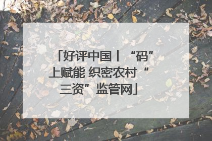 好评中国丨“码”上赋能 织密农村“三资”监管网