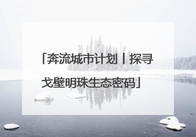 奔流城市计划丨探寻戈壁明珠生态密码