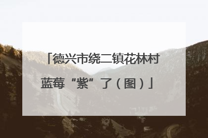 德兴市绕二镇花林村蓝莓“紫”了（图）