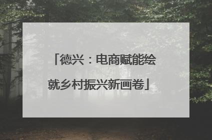 德兴：电商赋能绘就乡村振兴新画卷