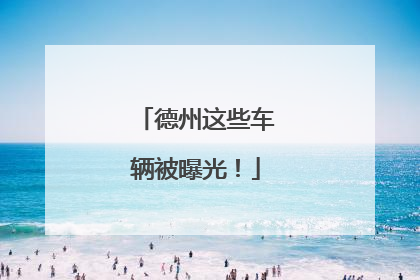 德州这些车辆被曝光！