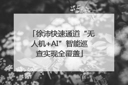 徐沛快速通道“无人机+AI”智能巡查实现全覆盖
