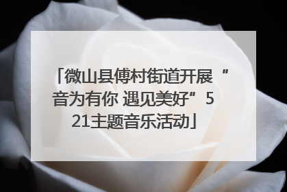 微山县傅村街道开展“音为有你 遇见美好”521主题音乐活动