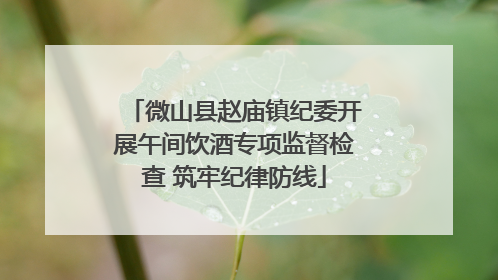 微山县赵庙镇纪委开展午间饮酒专项监督检查 筑牢纪律防线