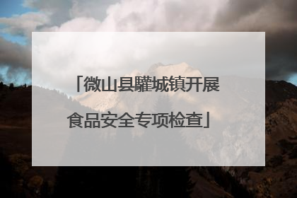 微山县驩城镇开展食品安全专项检查