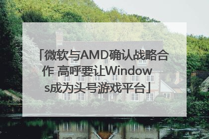 微软与AMD确认战略合作 高呼要让Windows成为头号游戏平台