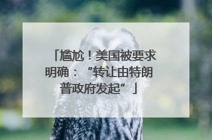 尴尬！美国被要求明确：“转让由特朗普政府发起”
