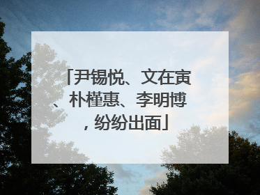 尹锡悦、文在寅、朴槿惠、李明博，纷纷出面