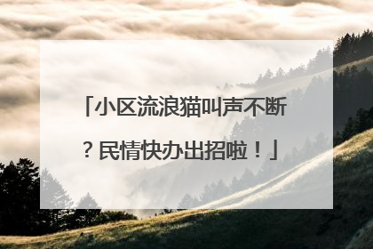 小区流浪猫叫声不断？民情快办出招啦！