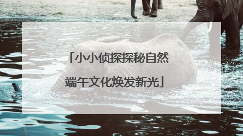 小小侦探探秘自然 端午文化焕发新光