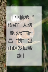 小轴承“传动”大动能 浙江新昌“拼”出山区发展新路